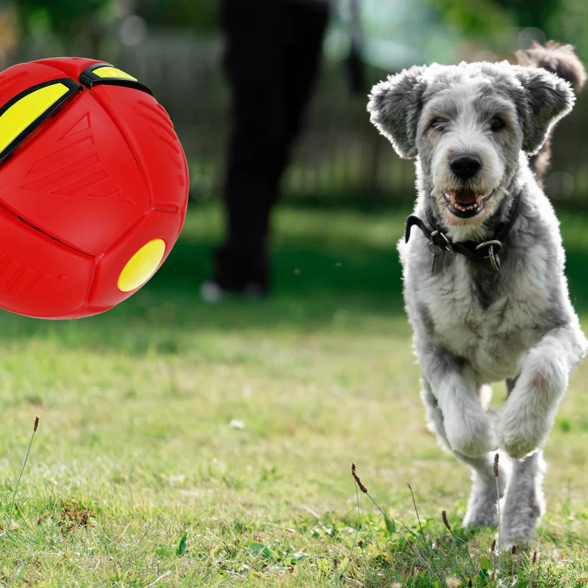 Pelota Plana Flat Ball Disco Plano Led